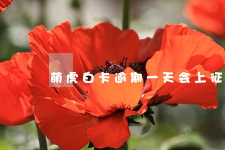 萌虎白卡逾期一天会上征信吗 萌虎白卡逾期一天会上征信吗