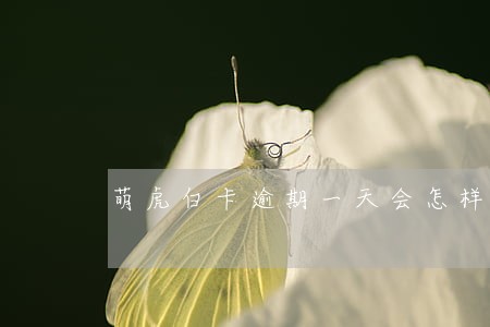 萌虎白卡逾期一天会怎样吗 萌虎白卡逾期一天会怎样吗