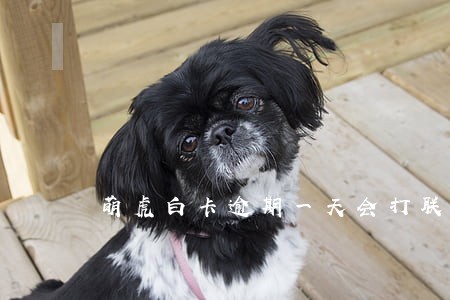 萌虎白卡逾期一天会打联系人吗 萌虎白卡逾期一天会打联系人吗