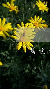 萌虎白卡逾期一天利息 萌虎白卡逾期一天利息
