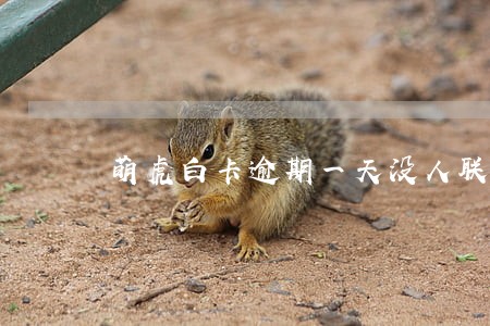 萌虎白卡逾期一天没人联系 萌虎白卡逾期一天没人联系