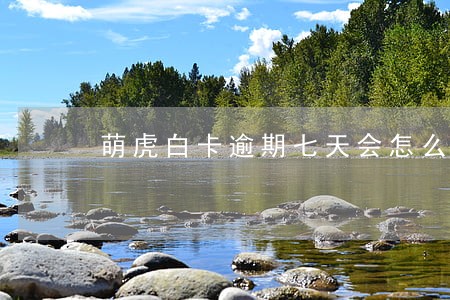 萌虎白卡逾期七天会怎么样 萌虎白卡逾期七天会怎么样