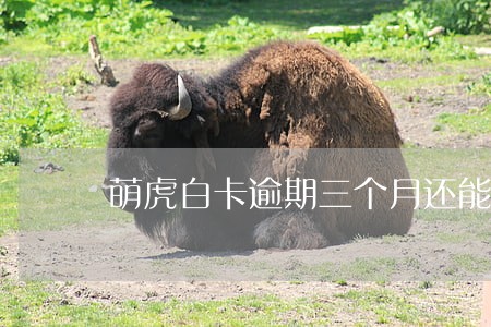 萌虎白卡逾期三个月还能用吗 萌虎白卡逾期三个月还能用吗