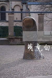 萌虎白卡逾期三天还能贷吗 萌虎白卡逾期三天还能贷吗