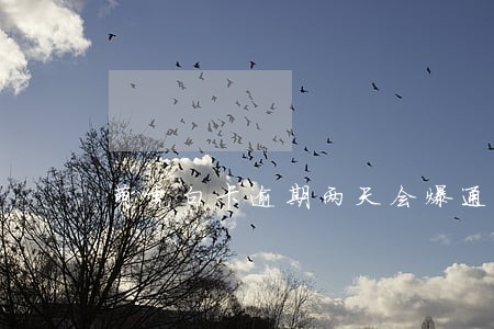 萌虎白卡逾期两天会爆通讯录么 萌虎白卡逾期两天会爆通讯录么