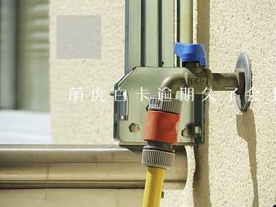 萌虎白卡逾期久了会上门吗 萌虎白卡逾期久了会上门吗