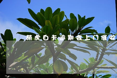 萌虎白卡逾期会上门催收吗 萌虎白卡逾期会上门催收吗