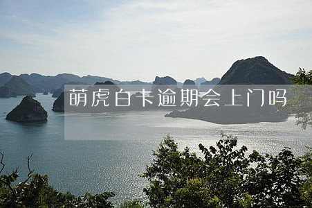 萌虎白卡逾期会上门吗 萌虎白卡逾期会上门吗