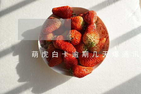 萌虎白卡逾期几天爆通讯录 萌虎白卡逾期几天爆通讯录