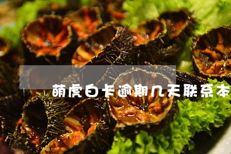 萌虎白卡逾期几天联系本人 萌虎白卡逾期几天联系本人