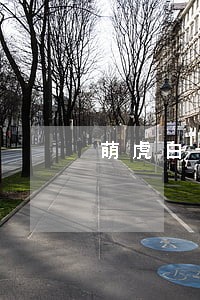 萌虎白卡逾期协商解决 萌虎白卡逾期协商解决
