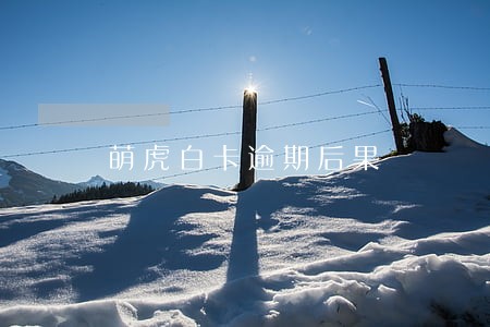 萌虎白卡逾期后果 萌虎白卡逾期后果