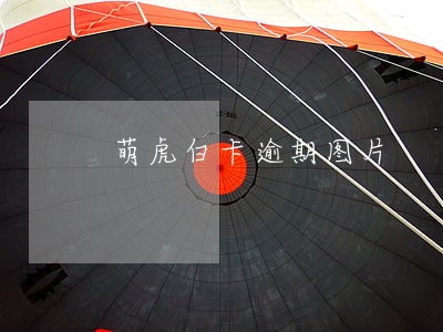 萌虎白卡逾期图片 萌虎白卡逾期图片