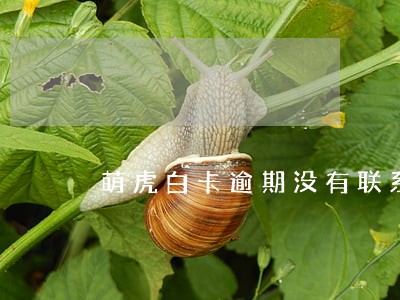 萌虎白卡逾期没有联系我 萌虎白卡逾期没有联系我