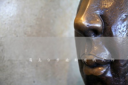 萌虎白卡逾期用钱大师 萌虎白卡逾期用钱大师