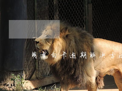 萌虎白卡逾期解决方法 萌虎白卡逾期解决方法