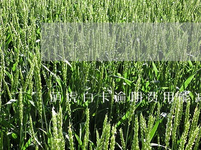 萌虎白卡逾期费用能减免吗 萌虎白卡逾期费用能减免吗