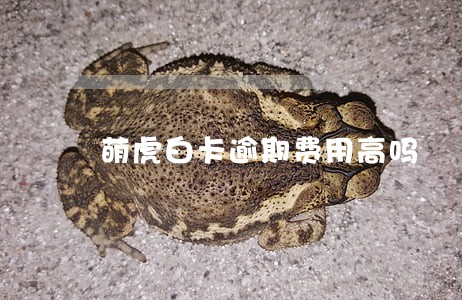 萌虎白卡逾期费用高吗