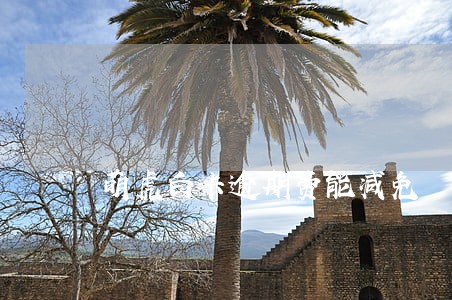 萌虎白卡逾期费能减免 萌虎白卡逾期费能减免