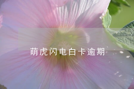 萌虎闪电白卡逾期 萌虎闪电白卡逾期
