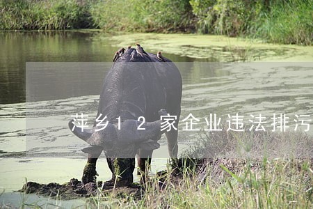 萍乡12家企业违法排污被关停