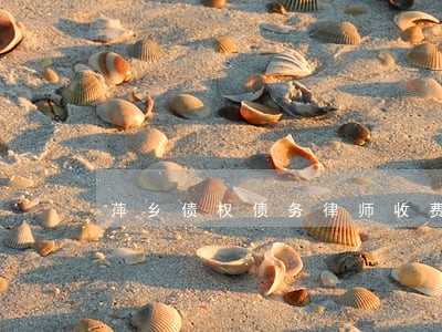 萍乡债权债务律师收费标准 萍乡债权债务律师收费标准