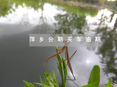 萍乡分期买车逾期 萍乡分期买车逾期