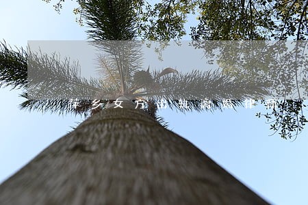 萍乡女方出轨离婚律师 萍乡女方出轨离婚律师