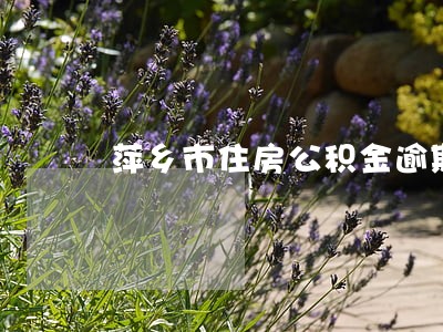 萍乡市住房公积金逾期还款 萍乡市住房公积金逾期还款