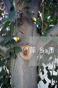 萍乡市刑事会见律师代理费 萍乡市刑事会见律师代理费