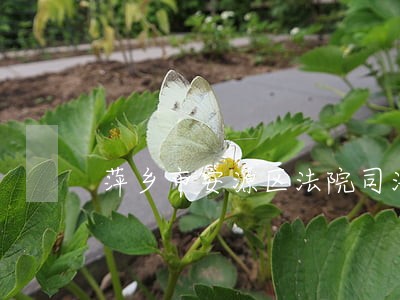 萍乡市安源区法院司法救助工作 萍乡市安源区法院司法救助工作