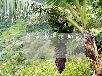 萍乡法律援助免费中心 萍乡法律援助免费中心