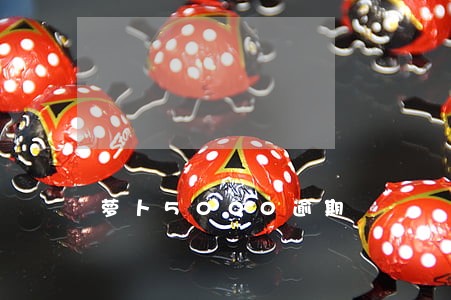 萝卜5000逾期