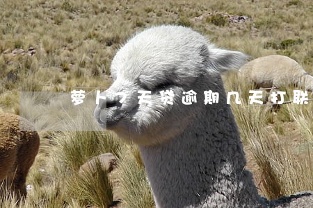 萝卜7天贷逾期几天打联系人 萝卜7天贷逾期几天打联系人