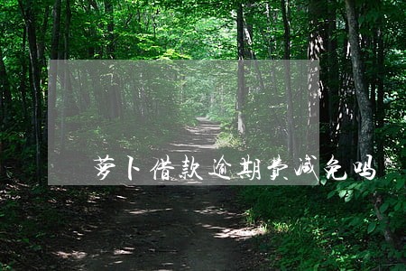 萝卜借款逾期费减免吗 萝卜借款逾期费减免吗