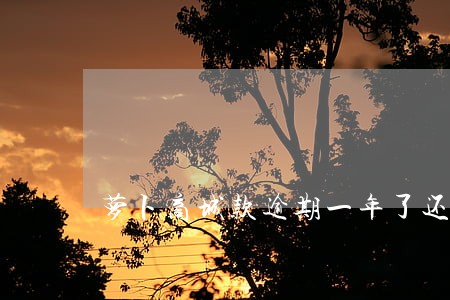 萝卜商城款逾期一年了还用还吗 萝卜商城款逾期一年了还用还吗