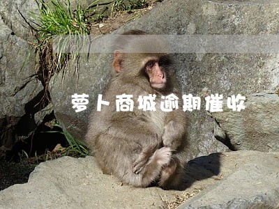 萝卜商城逾期催收 萝卜商城逾期催收