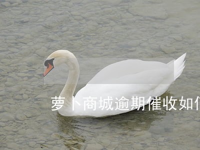萝卜商城逾期催收如何 萝卜商城逾期催收如何