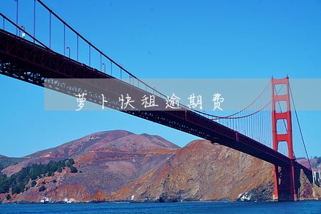 萝卜快租逾期费 萝卜快租逾期费