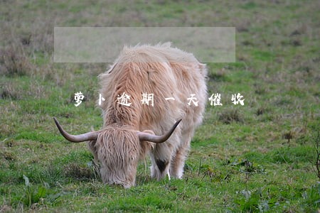萝卜逾期一天催收 萝卜逾期一天催收