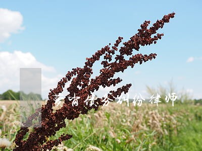 萝岗债务纠纷律师 萝岗债务纠纷律师