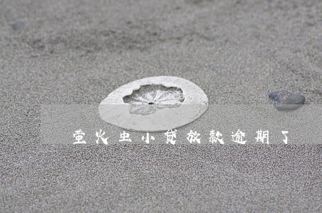萤火虫小贷放款逾期了 萤火虫小贷放款逾期了