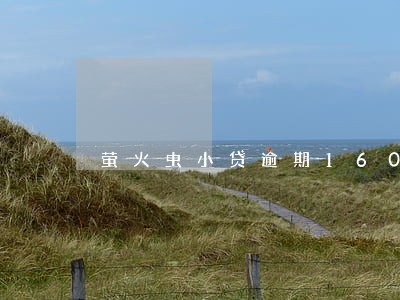 萤火虫小贷逾期1600 萤火虫小贷逾期1600