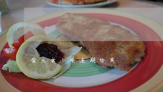 萤火虫小贷逾期协商 萤火虫小贷逾期协商