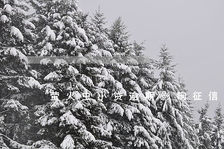 萤火虫小贷逾期影响征信吗 萤火虫小贷逾期影响征信吗