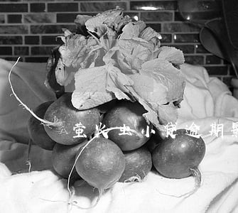 萤火虫小贷逾期影响房贷吗 萤火虫小贷逾期影响房贷吗