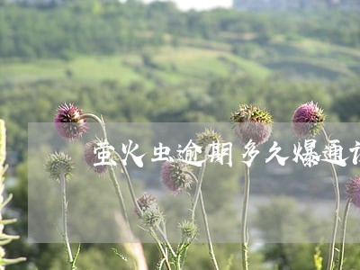 萤火虫逾期多久爆通讯录
