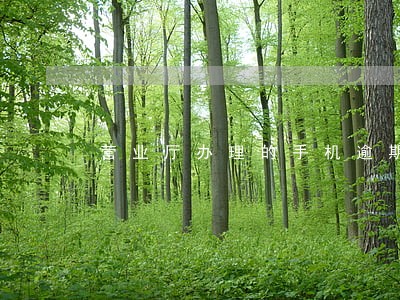 营业厅办理的手机逾期了怎么办 营业厅办理的手机逾期了怎么办