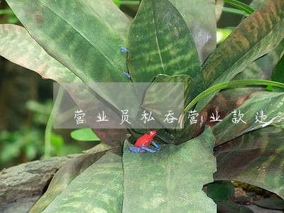 营业员私吞营业款违法吗 营业员私吞营业款违法吗