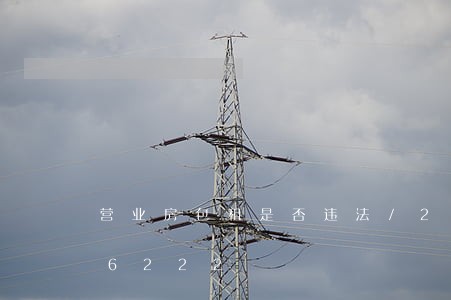 营业房包租是否违法/2023013196222 营业房包租是否违法/2023013196222